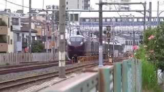 E655系「和(なごみ)」