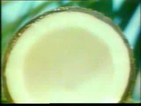 Bounty commercial from the 80s (Dutch)