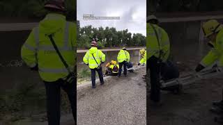 Exhausted Dog Rescued From Flood Channel in California