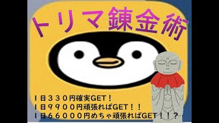 トリマ錬金術－１日３３０円は確実に稼げる－