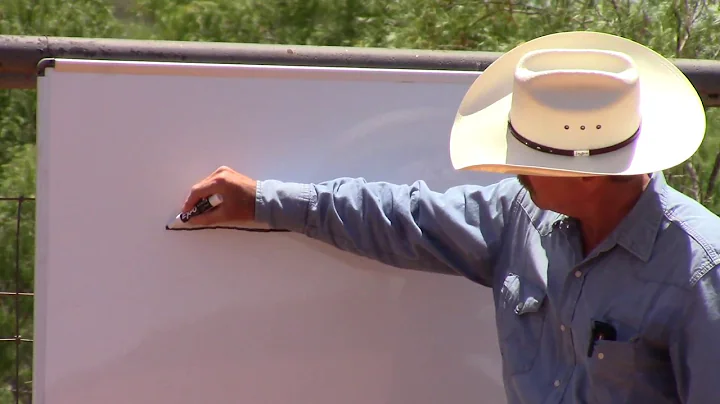 How To Slow Your Horse At The Canter