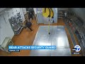 Bear attacks security guard inside Aspen hotel kitchen