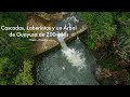 Cascadas 💦 Laberintos  y un Árbol de Guayusa 🍃 de 200 años 😲- Napo 🇪🇨