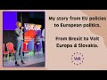 My story from eu policies to paneuropean politics from brexit to volt