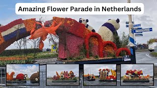 Beautiful Flower Parade in Netherlands (2024).... #netherlands #flowers #tulips