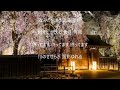 雪花角館 唄 黒川真一朗 cover 太陽と月