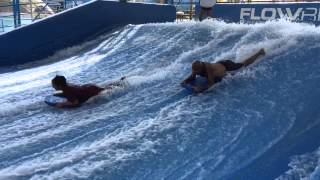 IMG 4534