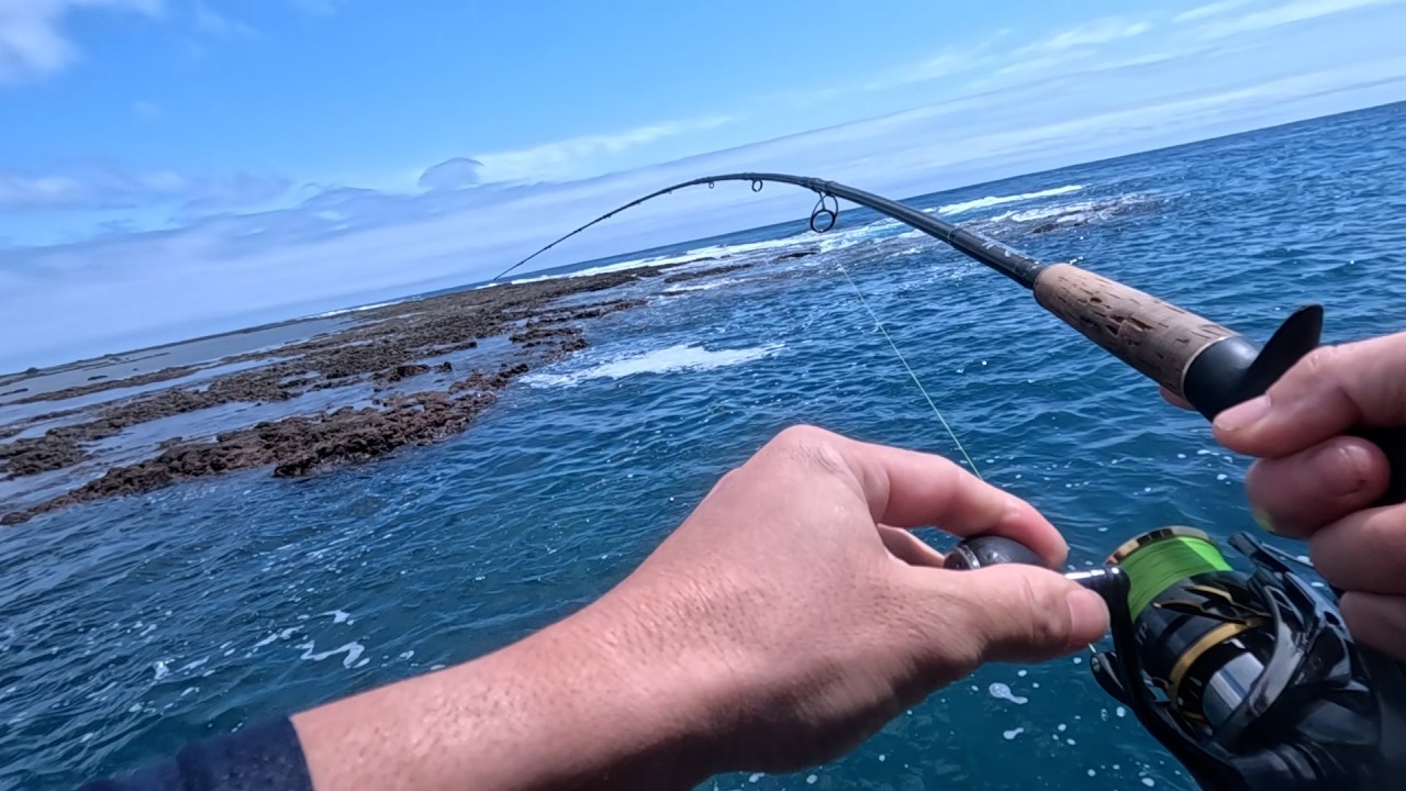 When you go lure fishing on the reef edge in spring - YouTube