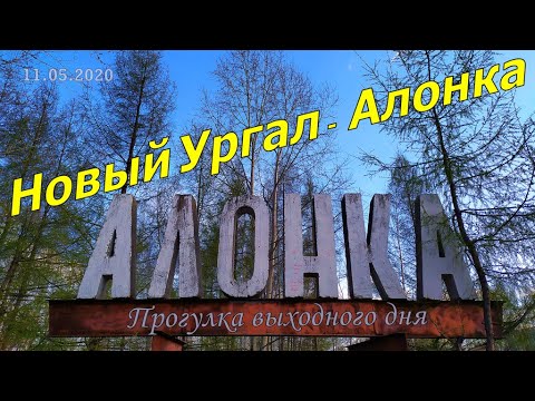 Новый Ургал - Алонка. Прогулка выходного дня...