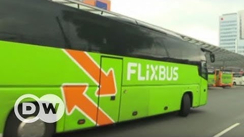 Flixbus - From start-up to market dominance | DW English