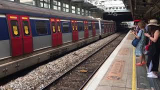 港鐵東鐵線MLR E21/E81到達及離開及SS80166+Z801通過上水站