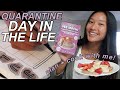 HOW I STAY PRODUCTIVE AT HOME | Bullet Journaling, Cooking, & Working Out!