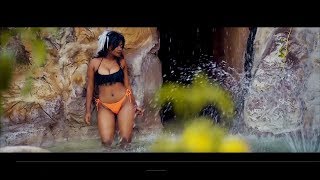 Gaga Blue ft Young Dee - Ivo Ivo [ Video]