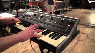 Moog Solo, Snarky Puppy, Thing of Gold, Shaun Martin chords
