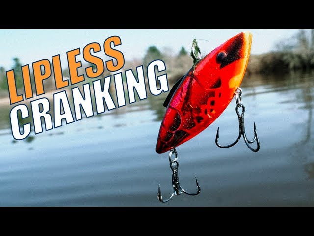 How to fish Lipless Crankbaits - Bass Fishing 