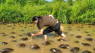 Catching river mussels to sell for money - Leading goats into the forest to harvest wild beehives