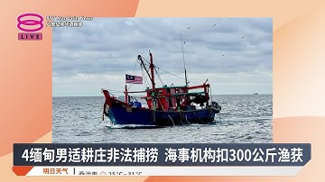 4缅甸男适耕庄非法捕捞 海事机构扣300公斤渔获【2025.10.18 八度空间华语新闻】