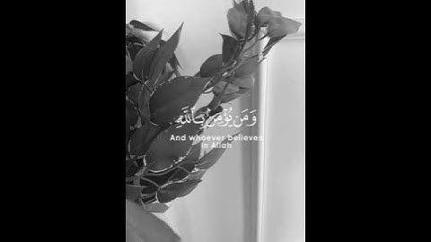 سورة التغابن آيه 11