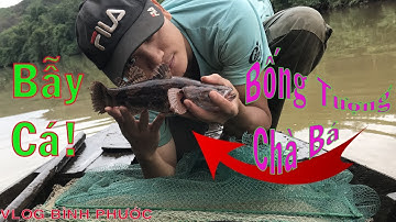 Đặt Bẫy Cá 12 Cửa Ngục Không Ngờ Dính Cá Bống Tượng Bự Chà Bá | Dính Cá Bống khủng |Vlog Bình Phước