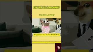 Vậy là bao nhiêu #cheems #funny #viral #memes #xuhuongyoutube