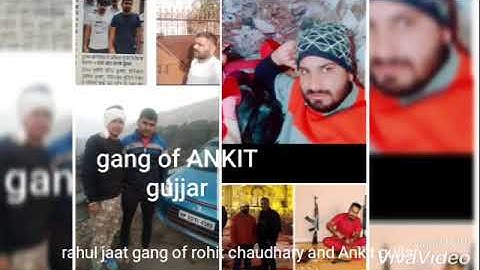 Rahul jaat Ankit gujjar and Rhohit chaudhary ayanagear gagstier