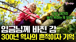 [다큐공감] 여든을 앞둔 나이의 할머니가 20살 나이때 부터 놓지 못하는 것이 있다. 그것은 나의 흔적이자 기억이기 때문에..ㅣKBS 2017.11.25