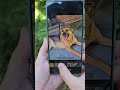✨Tip Samsung - Estudio Retrato Mascotas