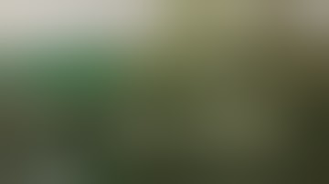 INCREASE Cannabis Plant Yields 2x2 Tent | Start to Finish EP.2