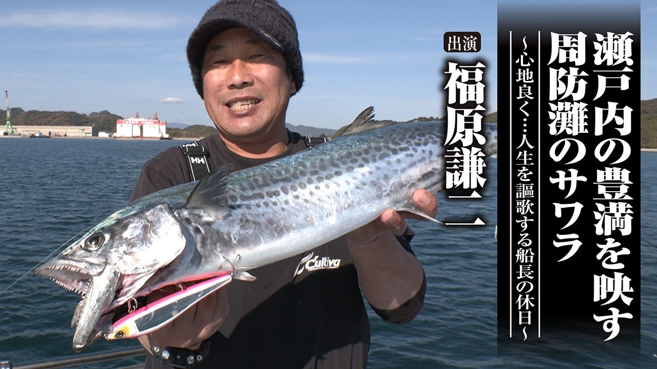 ＃705 瀬戸内の豊満を映す周防灘のサワラ～心地良く…人生を謳歌する船長の休日～
