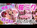 つるのクレーンゲーム成長日記 桜ミク AMP+ フィギュア~桜提灯ver.~