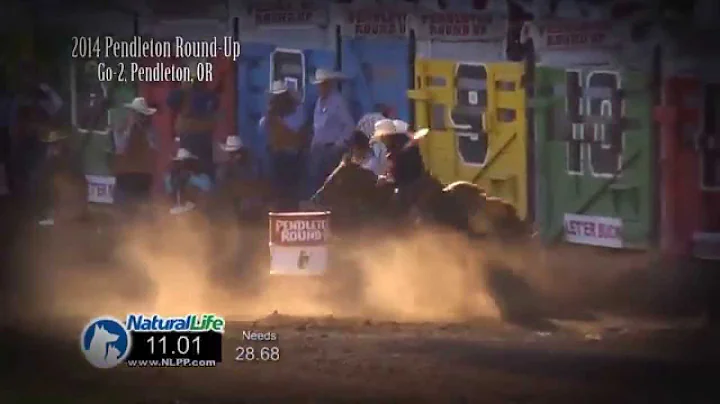 NFR Barrel Racer Christy Loflin