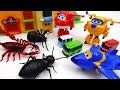 Go go super wings tayo school is under attack by monster bugs