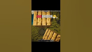 Java bridgeing vs bedrock bridging