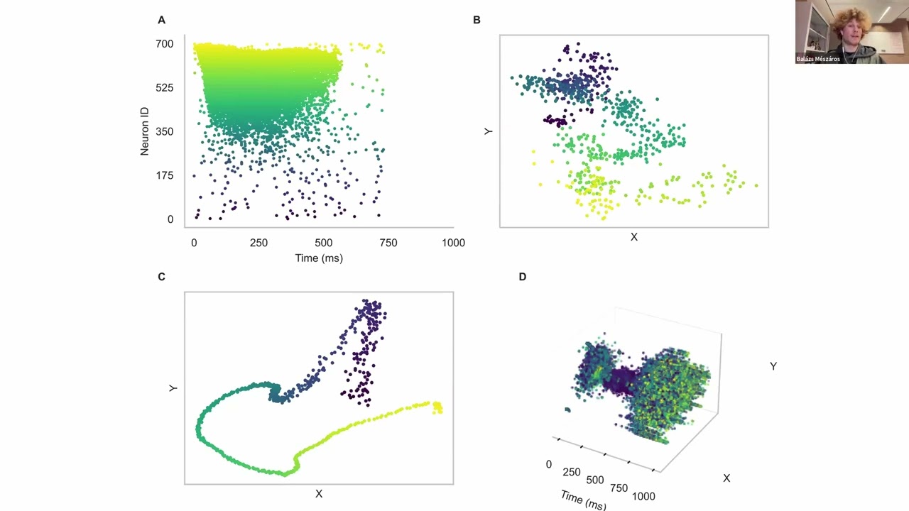 Space as Time Through Neuron Position Learning - Balázs Mészáros