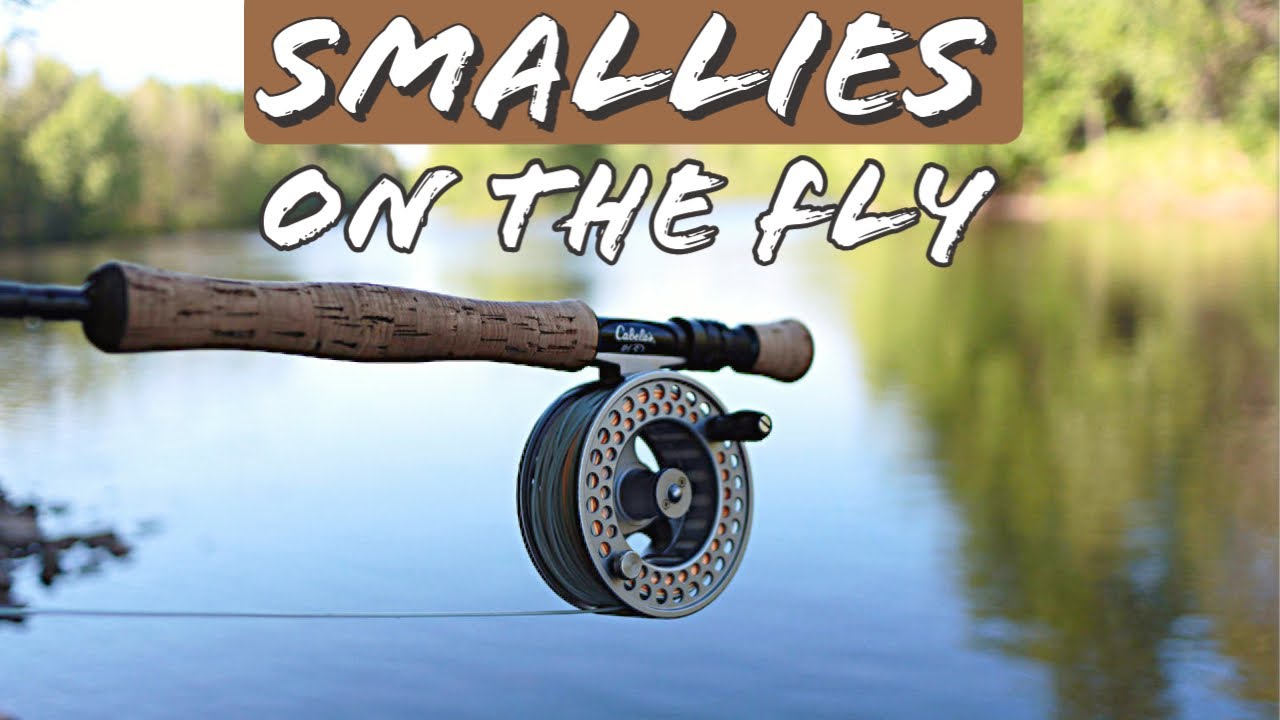 Fly Fishing River Smallmouth Bass Upper Peninsula Michigan YouTube