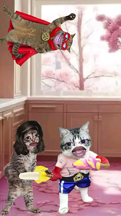 Kucing Mau Es Krim Doonk... #shortvideo #catlover #kucinglucu #kucing #funnyshorts #cat #videoviral