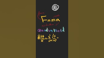 The Schrodinger Equation and The Wave Function