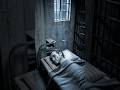 The Day Three Men Vanished from Alcatraz and Were Never Found #history #historyshorts