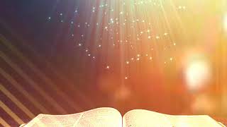 Matthew Chapter 23 - Holy Bible (ESV).