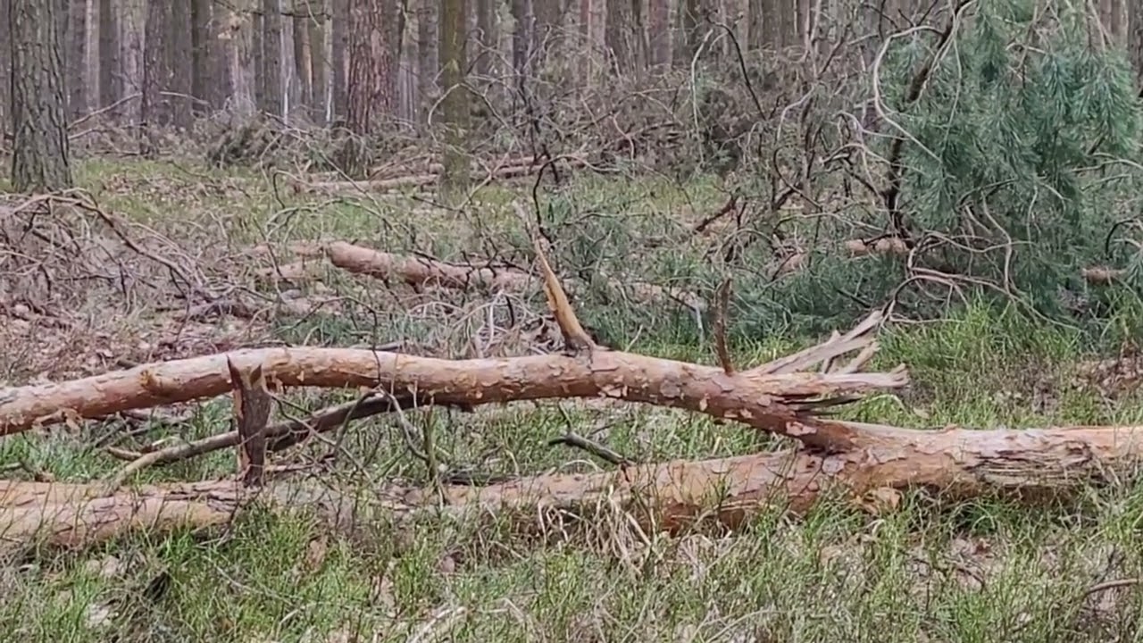 21 tyk w 6 godzin cz. 2