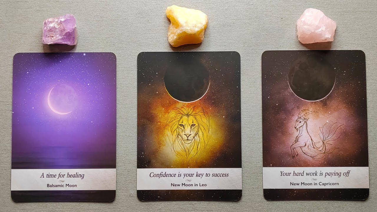 WHAT IS THE NEXT CHAPTER OF YOUR LIFE? ️⌛ Pick A Card 🔮 Timeless Tarot ...