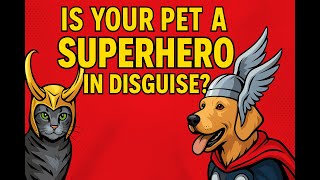 Superhero Pet Names Every Fan Will Love Superheropets