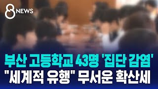 부산 고등학교 43명 '집단 감염'…백일해 