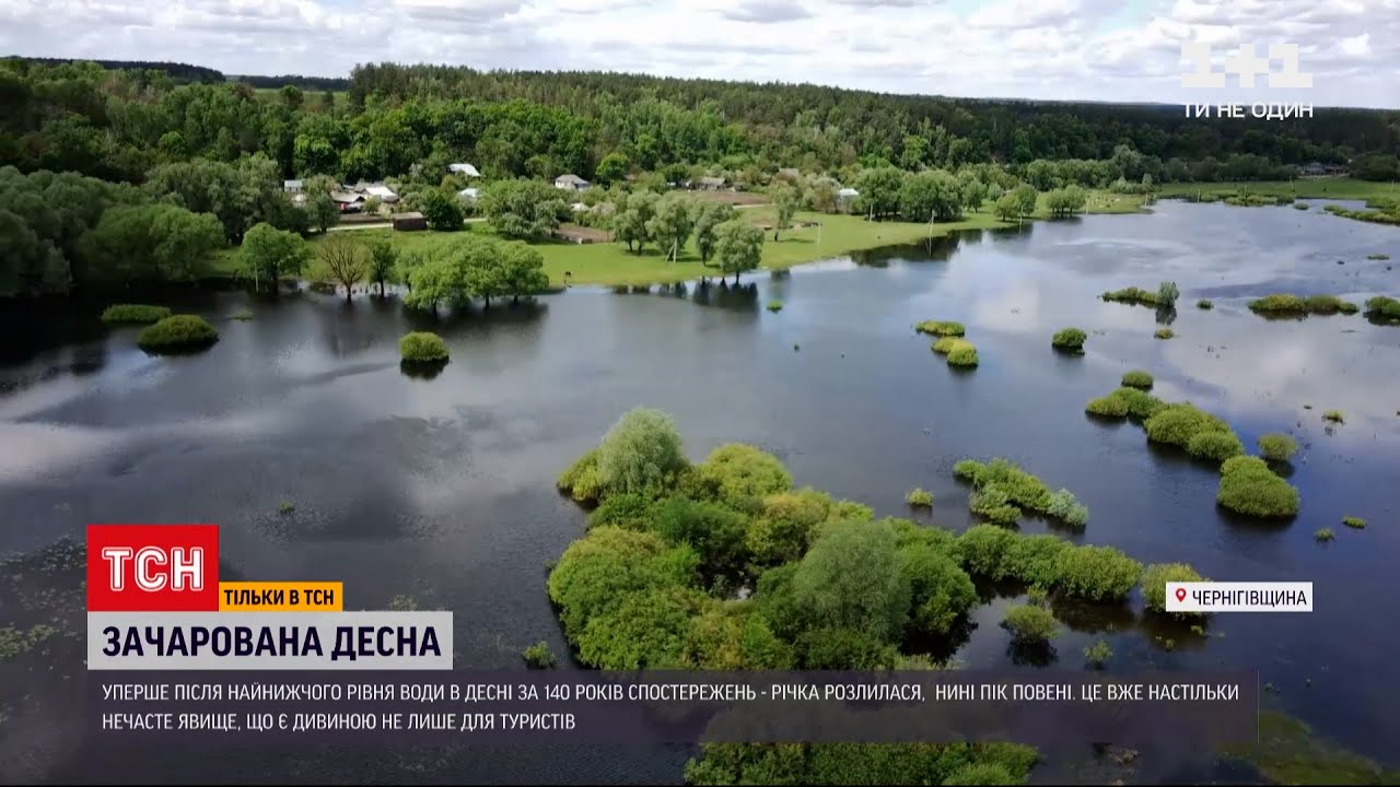 Вода затопила луга. Река Десна у Чернигова. Река Десна Черниговская область. Река Десна разлилась. Зачарована Десна.