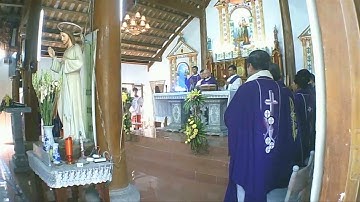 Lễ an táng bà cố Tê Rê Sa Nguyễn Thị Mùi , do Ðức Cha Yến làm chủ tế /daobinh tv