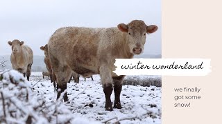 Rural France in winter - What we do on weekends here in the countryside - Vlog 3
