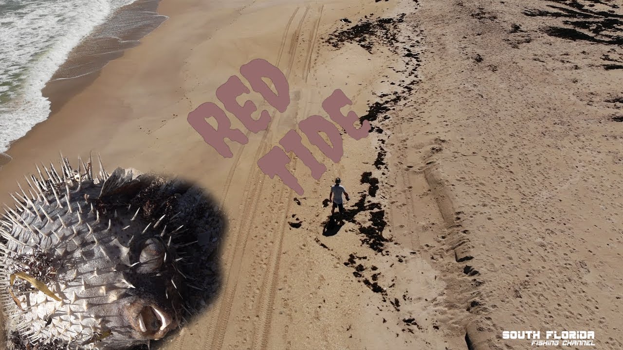 High Tide Vero Beach Today High Tide Vero Beach Today