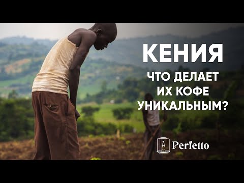 Бейне: Неліктен кофеден кейін ұйықтағыңыз келеді?