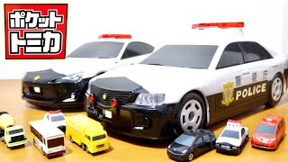 ポケットトミカ Amazon.co.jp: ポケットトミカ Vol.16 全16種［フルコンプ］ : おもちゃ