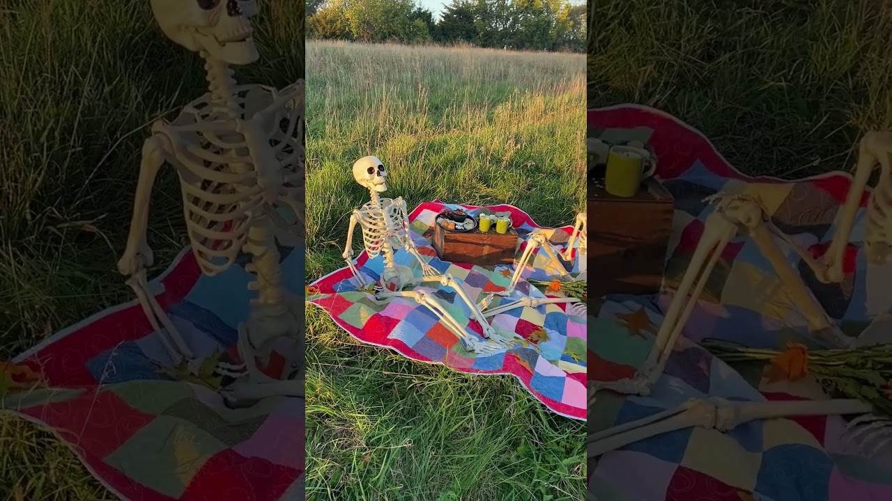 Blake Skelton: Picnic Date - Day 24  